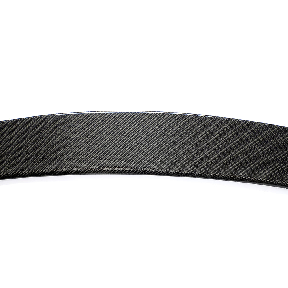 BMW 6-Series M-Sport / BMW M6 - P-Style Wet Carbon Fiber Rear Trunk Spoiler